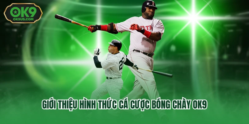 Giới thiệu hình thức cá cược bóng chày OK9