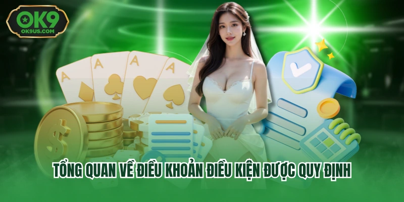 Tổng quan về điều khoản điều kiện được quy định